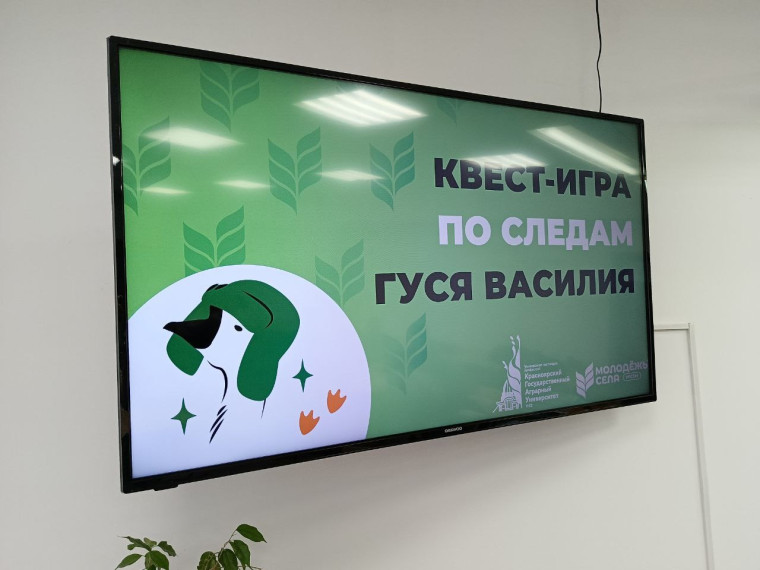 Внеурочное занятие в рамках квест-игры «По следам гуся Василия».